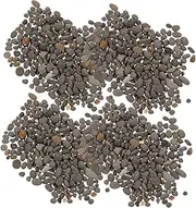 Cabilock 60g Bag of Rocks for Models Microlandscape Stones Decor for Sand Table Mini Garden Rock Realistic Appearance