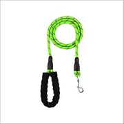 Pet Swift Nylon Dog Leash (Green, 3m) - Durable 1.2cm Thick Lead for Dogs, Medium Dog Collars, Slip Lead, Puppy Harness & Rabbitgoo Leash Compatible - Friendly Dog Harnesses & Walking Accessories