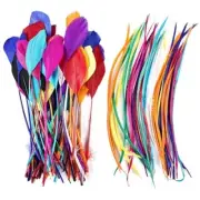 Colorful Feathers 2 Style Craft Feathers 120Pcs for Handmade DIY Wedding