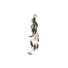 Maine & Crawford 105cm Elephants Ear Vine Artificial Hanging Fake Plant Decor