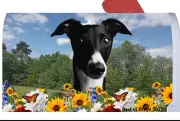 Whippet Summer Flowers Mail Box Cover