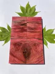 Book Matched Stabilized Spalted Maple Knife Scales Pistol Grips NEW COLOR SERIES