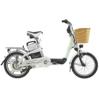 在飛比找蝦皮購物優惠-捷安特電動腳踏車二手EA101
