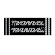 Panda - Silver PRISM downtube decal - old school bmx