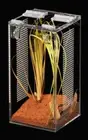 - Aphid - Mini Acrylic Enclosure 12cmx12cmx24cm
