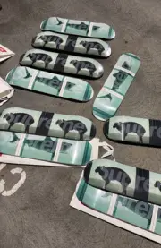 Supreme Damien Hirst Skateboard Set SS25 In hand SHIPS SAME DAY