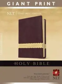 在飛比找博客來優惠-Holy Bible: New Living Transla