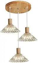 Nordic Minimalist Style Wood Glass Hanging Lamp, E27 Light Source Flush Mount Pendant Light, Three Head Ceiling Chandelier Shade, Kitchen Corridor Living Room Decoration Light Fixtures