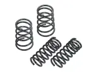 RS-R DOWN SPRINGS (DOWN) for NISSAN NOTE(E11) Cube(BZ11,Z12) N604W from JAPAN