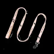 Warner Bros Friends Dog Lead