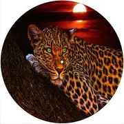 Slipmat Slip Mat Scratch Pad Felt for any 12" LP DJ Vinyl Turntable Record Player Custom Graphical - Sunset Leopard