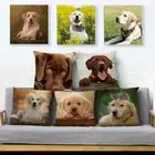 Brown Labrador Pillowcase Decor Cute Dog Pet Animal Printed Cushion Cover Pillow