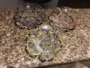 Party Lite Garden Whimsy Tea light Trio Clear Glass With Colored Edge 4” In Box