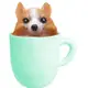 【FOLUCK】寵物咖啡杯－馬卡龍綠杯－柯基【金石堂】
