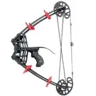 Outdoor Hunting Bow and Arrow Shooting Mini Compound Bow Professional 45 Lbs