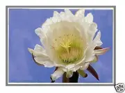 Lenovo FRU: 00UR888 LED LCD Touch Screen 15.6" WUXGA FHD Display New (Touch)