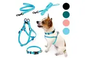 PIPCO PETS SuperLite Bundle - Lightweight Harness, Collar, and Leads for Small Dogs and Cats (Sky Blue)