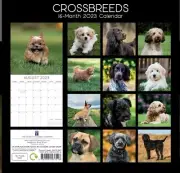 2023 calendar Crossbreed Dogs Pets 16 Month Planner Australia