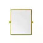 Elegant Lighting Everly 20" x 24" Transitional Rectangular Framed Wall Mirror Go
