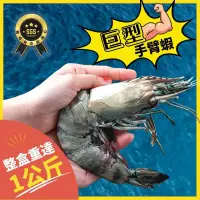 在飛比找博客來優惠-【好嬸水產】晉級巨人手臂蝦1KG/8隻(單件免運)