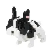 NEW NANOBLOCK French Pied Bulldog 2- Building Blocks Nanoblocks Nano NBC-197
