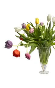 [Gohar World] Tangiers Glass Vase