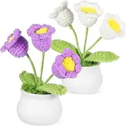 PACKOVE 2 Pcs Handmade Knitted Crochet Flower Ornaments Elegant Car Dashboard Home Desk Decor Lily Craftsmanship for Stylish Decoration