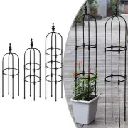 Reliable Garden Obelisk Trellis Provides the Perfect Support for Your Plants