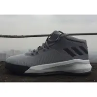 在飛比找蝦皮商城精選優惠-全新 籃球鞋 10.5號(44.5) adidas 愛迪達 