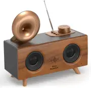 Retro Bluetooth Speaker Vintage Radio Vintage Decor with AM FM Radio 5.3