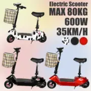 Electric Scooter 600W 35KM/H