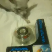 Action Shot Video Digital Camera Water Proof Case New & Sealed Photo Accessories