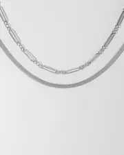 Silver Snake And Long Chain Necklace