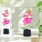 Artificial Phalaenopsis Faux Plant in Pot Centerpiece Arrangement Simulation