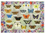 Gibsons - Beautiful Butterflies Puzzle 1000pc