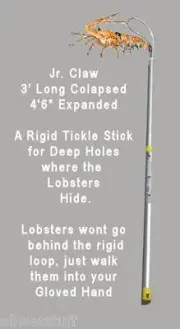Jr. Claw TICKLE STICK Catch Lobster bug claw net bully pole bag dive snare snair