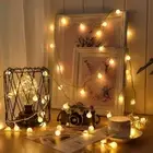 Plug In Globe String Lights 20LED Fairy Lights for Birthday Christmas Wedding