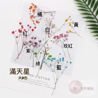 在飛比找蝦皮購物優惠-美甲 乾燥花🌸滿天星  書籤/手機殼等押花作品