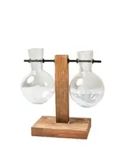 Duo Terrarium Vase Indoor Plants Home Decor - Parallel Two Vases