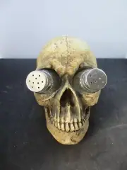 DWK - World of Wonders Skull - Salt & Pepper Shakers - RARE - New in Box