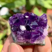 50-60g Natural Amethyst Cluster Quartz Crystal Specimen Druzy Geode Healing Rock