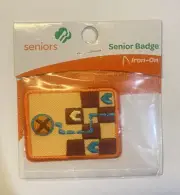 Girl Scout Senior Badge GAME VISIONARY OG Made in China