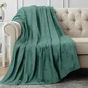 Utopia Bedding Fleece Blanket Throw Size Celadon 300GSM Luxury Fuzzy Soft Anti-Static Microfiber Bed Blanket (60x50 Inches)