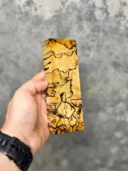 Stabilised Spalted Tamarind Block Woodworking Woodturning Maker Material #91