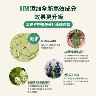 【THE BODY SHOP 美體小舖】茶樹淨膚清爽調理水-250ML (2023升級版)