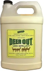 Deer Repellent :Deer Out 1 Gallon Concentrate Makes 10 Gallons