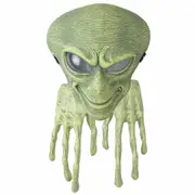 Alien Visitor Outer Space Halloween Boys Costume Mask & Hands