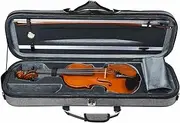Axiom Symphony series Full Size Violin 4/4 - Superb Violin for advanced players