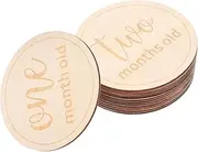 MOBUTOFU 12 Pcs Milestone Cards Newborn Monthly Milestone Discs Wooden Monthly Milestone Sign Wood Monthly Milestone Cards Wood Monthly Milestone Markers Newborn Monthly Milestone Sign