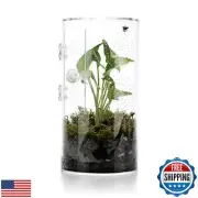 Jumping Spider Enclosure, 11.5”*6”*6”, Air Hole 3/64" Micro Habitat Terrarium
